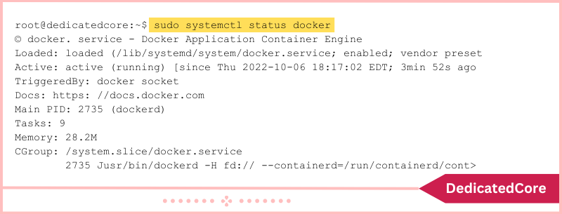 how to check installed docker status linux