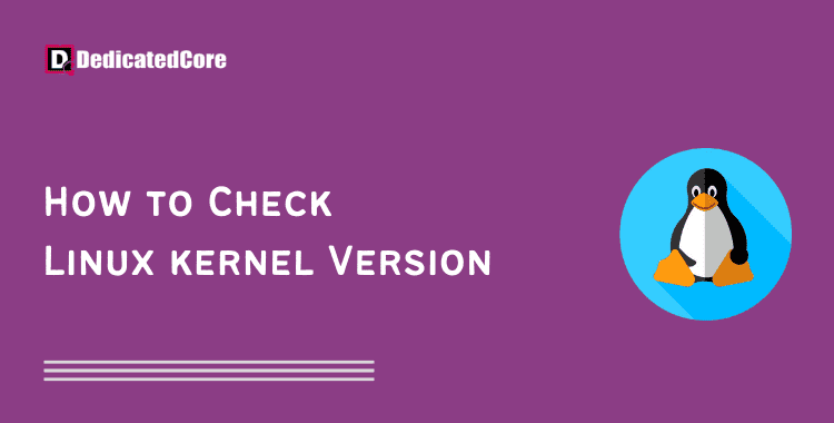 how to check linux version