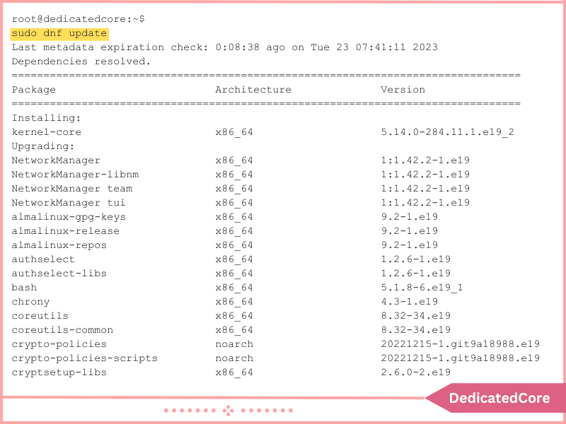 sudo dnf update command displays output