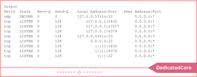 output to verify list sockets with open port