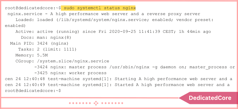 display status of nginx